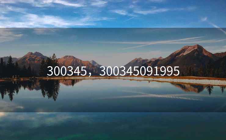 300345，300345091995