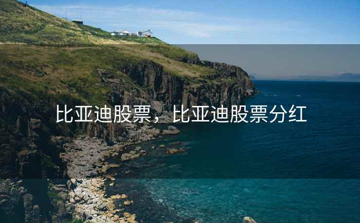 比亚迪股票，比亚迪股票分红