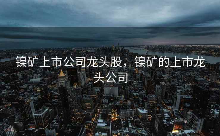 镍矿上市公司龙头股，镍矿的上市龙头公司