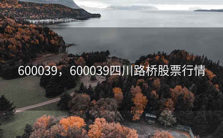600039，600039四川路桥股票行情