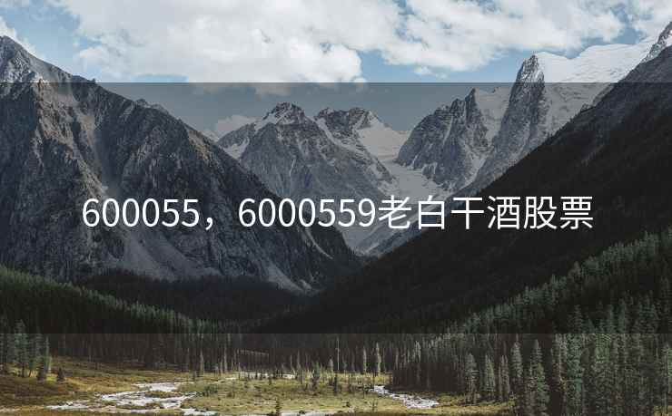 600055，6000559老白干酒股票