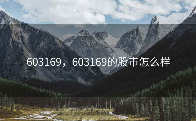 603169，603169的股市怎么样