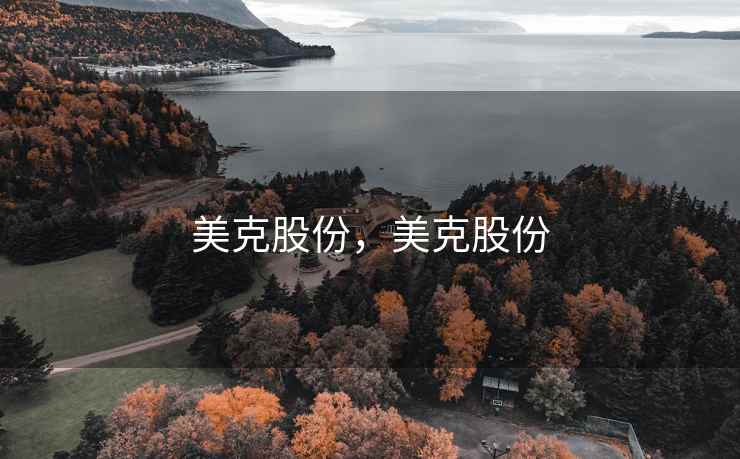 美克股份，美克股份