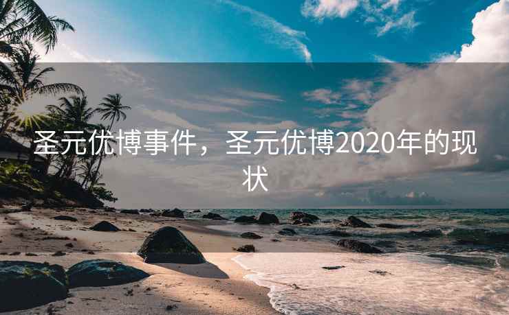 圣元优博事件,圣元优博2020年的现状 圣元优博事件,圣元优博2020年的现状