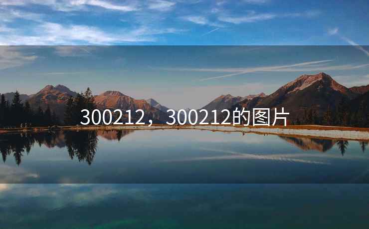 300212，300212的图片