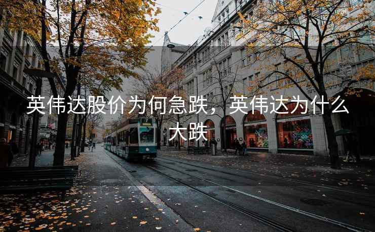 英伟达股价为何急跌，英伟达为什么大跌