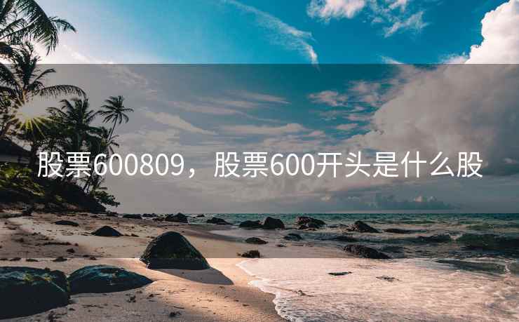 股票600809，股票600开头是什么股