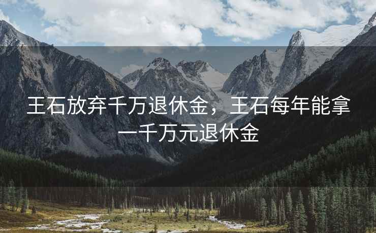 王石放弃千万退休金，王石每年能拿一千万元退休金