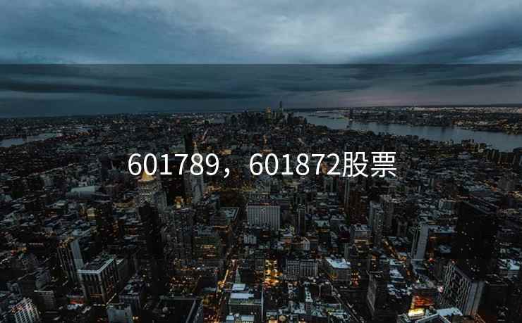 601789,601872股票 601789,601872股票