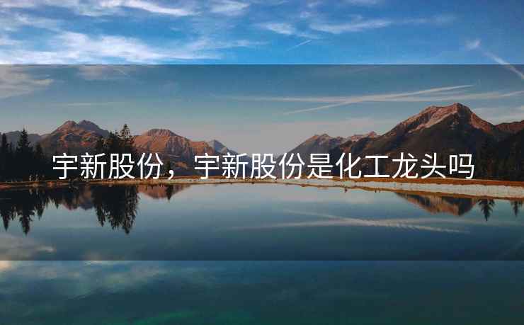 宇新股份，宇新股份是化工龙头吗