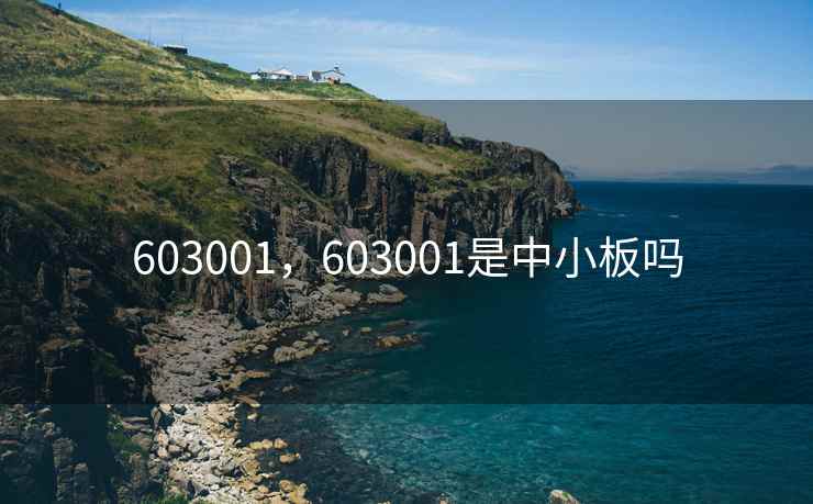 603001,603001是中小板吗 603001,603001是中小板吗