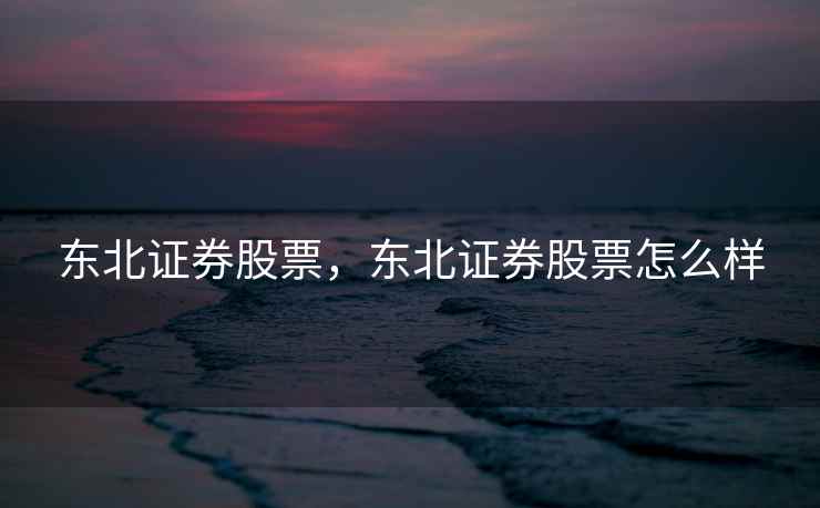 东北证券股票，东北证券股票怎么样